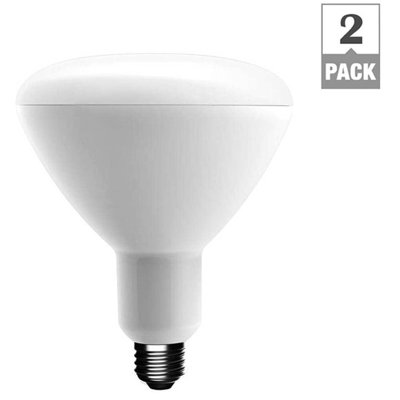 EcoSmart 75-Watt Equivalent BR40 Dimmable Energy LED Light Bulb Daylight (2-Pack - Picture 4 of 5